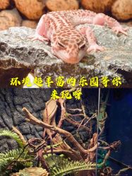 -未来动物城动物主题公园(大悦城店)