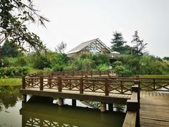 -桤木河湿地公园