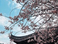-堤角公园