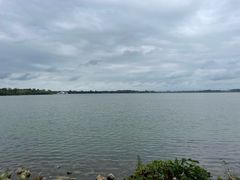 -丁香湖公园