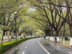 -长白岛森林公园