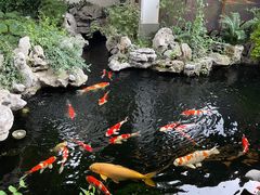 -鲤院·新中式美学·庭院餐厅(夫子庙店)