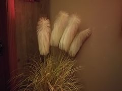 -端艾堂·SPA·艾灸(棕榈泉013店)
