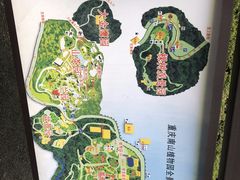 -大金鹰园