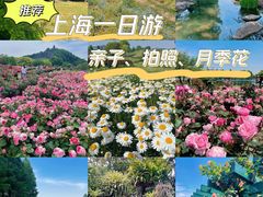 -上海辰山植物园