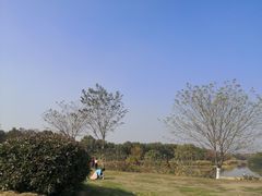 -艾溪湖湿地公园