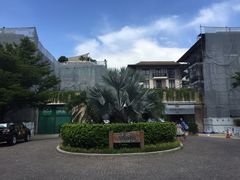 -椰树岛海滩度假村