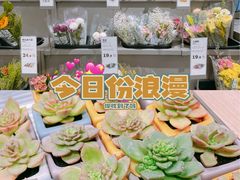 -鹿岛会员店(熙地港店)
