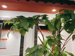 -蒸武门·广式茶点(江南店)