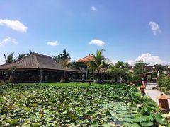-Bebek Joni Restaurant