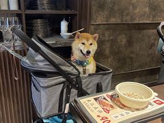 -橘焱胡同烧肉夜食(BFC外滩金融中心店)