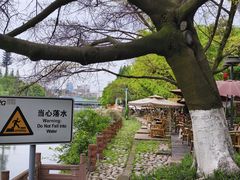 -成都市活水公园