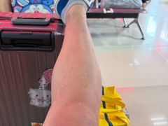 -上海南浦大桥长途旅游客运站