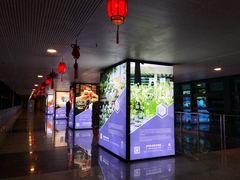 -深圳机场凯悦酒店