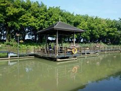 -大湾区中央湿地公园