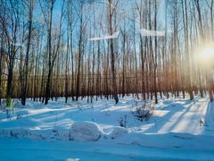 -长白山万达国际滑雪场