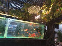 -阳光院坝小龙虾(红牌楼店)