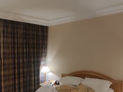 -南京维景国际大酒店(南京博物院店)