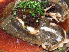 多宝鱼-盒马鲜生(曜一城店)