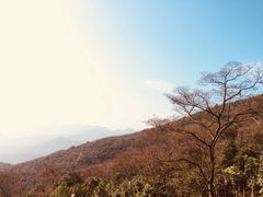 -广州市石门国家森林公园