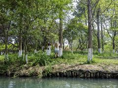 -西溪国家湿地公园