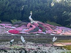 -中山公园