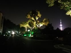 -华东饭店·园林式婚礼宴会厅酒店