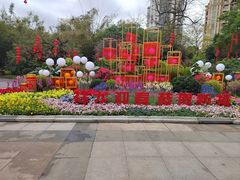 -晓港公园