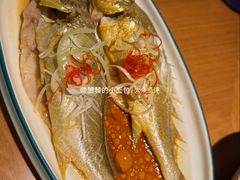 油泼黄花鱼-波螺油子青岛本帮菜(银座店)