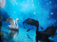 -新世界大丸百货