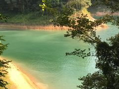 -广州市流溪河国家森林公园