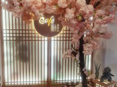-猫小主咖啡·猫咖cat cafe(福田店)