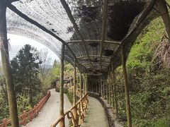 -磐安舞龙峡景区