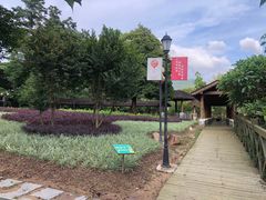 -广州市流溪河国家森林公园