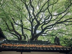 -上海醉白池公园