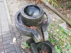 -金山植物公园