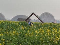 -中国天府农业博览园