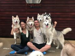 -TrueLove @ Neverland (Husky Cafe)