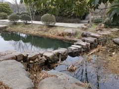 景点-贡湖湾湿地公园