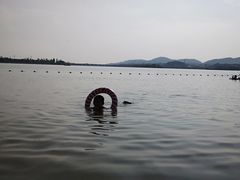 景点-柳湖沙月沙滩公园