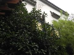 -不倒翁·徽天下名菜楼(马鞍山路店)