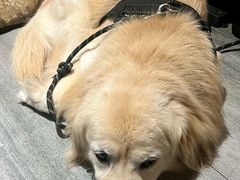 -LA CREPERIE BRETONNE布列塔尼法式餐厅(天童北路店)