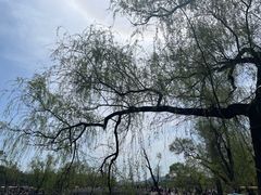 -承德避暑山庄景区