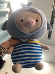 -南京医科大学友谊整形外科医院