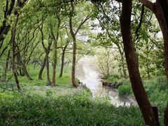 -西湖风景区-江洋畈生态公园