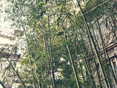 景观位-老张烤羊(王哥庄店)
