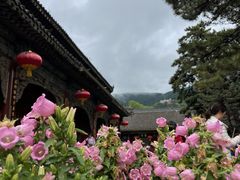 -五台山风景区