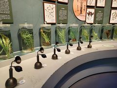 -中国湿地博物馆