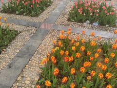 -石家庄市植物园