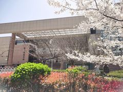 -青岛市图书馆